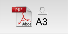 Format A3